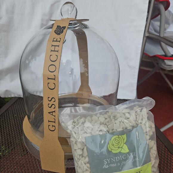 Large 12" Syndicate Home and Garden Glass Terrarium/Cloche W/Bottom Plate - Picture 7 of 9